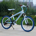 Hot Sale Hochwertiges Mountainbike / Fahrrad MTB